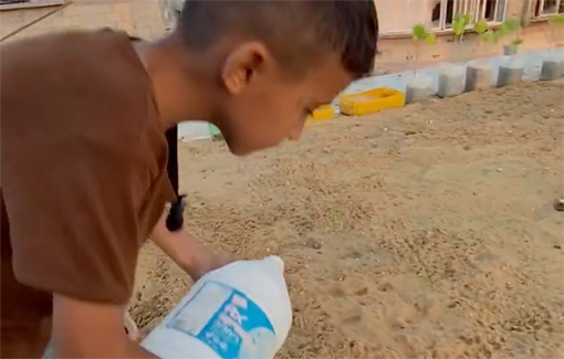 Thumbnail preview image for the video titled: 8 y/o Zein grows potatoes on his roof to survive Israel's policy of starvation