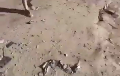 Thumbnail image of a video tagged with Osama al-Arbid | أسامة العربيد